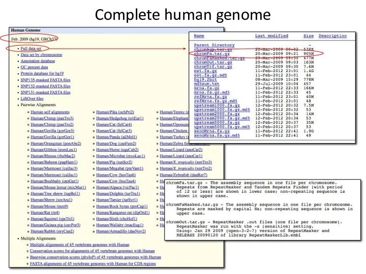 Complete human genome