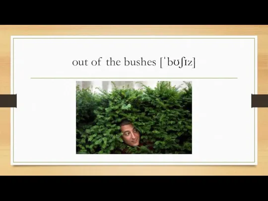 out of the bushes [ˈbʊʃɪz]