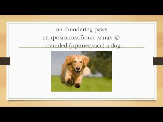 on thundering paws на громоподобных лапах ☺ bounded (принеслась) a dog