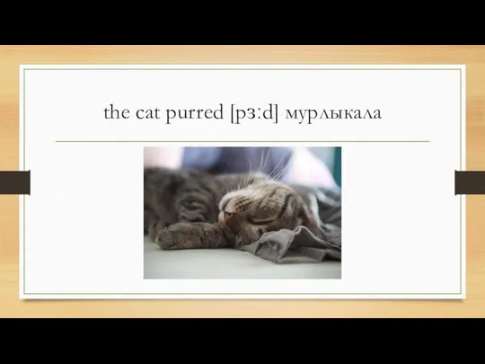 the cat purred [pɜːd] мурлыкала