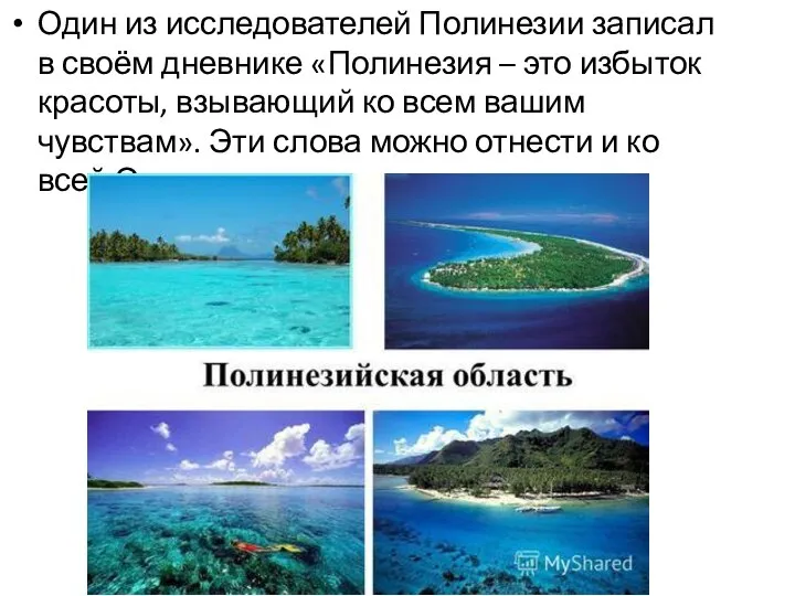 Один из исследователей Полинезии записал в своём дневнике «Полинезия – это избыток