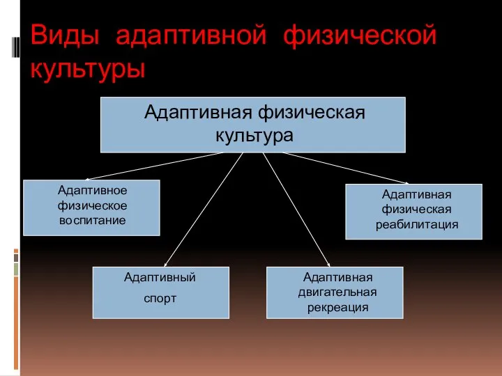 Виды адаптивной физической культуры Адаптивная физическая культура Адаптивное физическое воспитание Адаптивный спорт