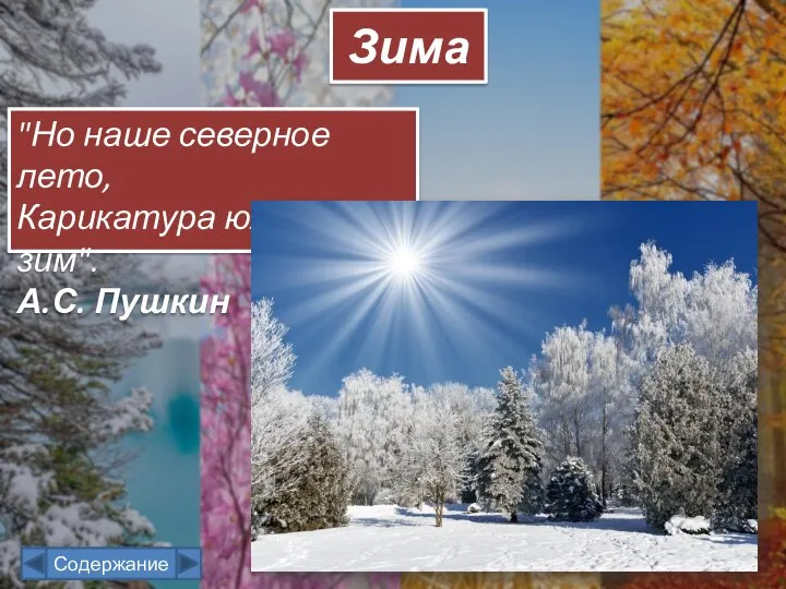 Зима "Но наше северное лето, Карикатура южных зим". А.С. Пушкин Содержание