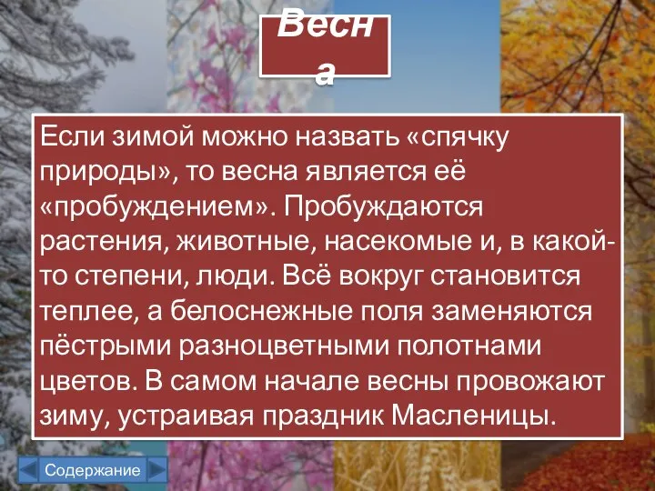 Если зимой можно назвать «спячку природы», то весна является её «пробуждением». Пробуждаются