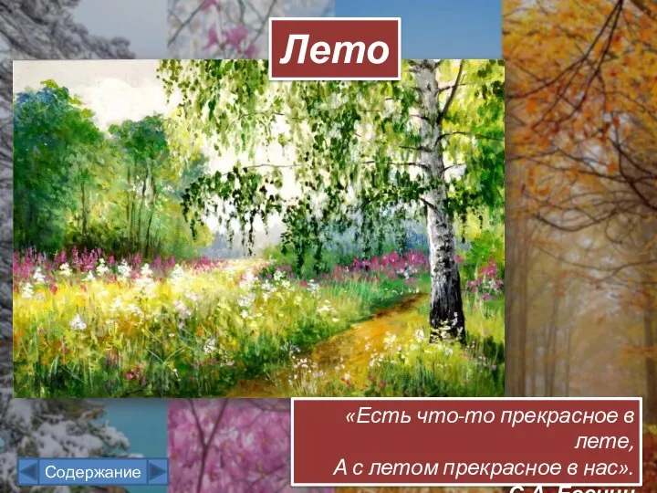 «Есть что-то прекрасное в лете, А с летом прекрасное в нас». С.А. Есенин Лето Содержание