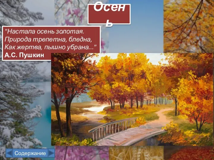 "Настала осень золотая. Природа трепетна, бледна, Как жертва, пышно убрана..." А.С. Пушкин Осень Содержание