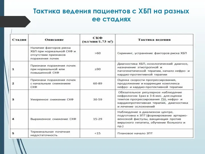 Тактика ведения пациентов с ХБП на разных ее стадиях