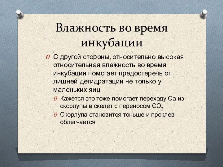 Влажность во время инкубации С другой стороны, относительно высокая относительная влажность во