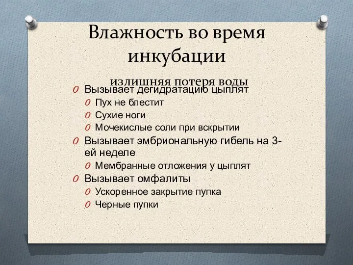 Влажность во время инкубации излишняя потеря воды Вызывает дегидратацию цыплят Пух не