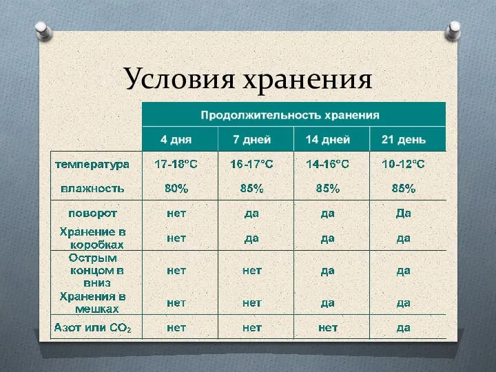 Условия хранения