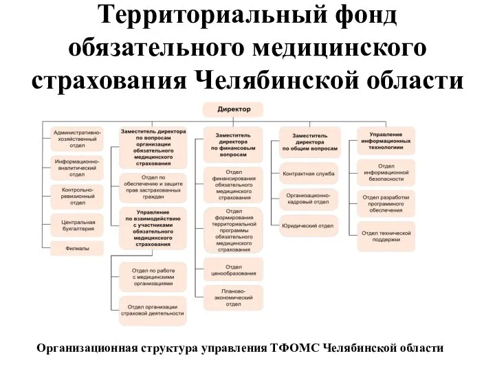 Территориальный фонд обязательного медицинского страхования Челябинской области Организационная структура управления ТФОМС Челябинской области