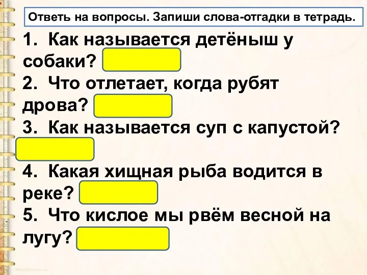 1. Как называется детёныш у собаки? (Щенок) 2. Что отлетает, когда рубят