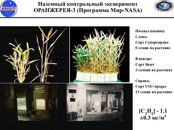 Наземный контрольный эксперимент ОРАНЖЕРЕЯ-3 (Программа Мир-NASA) [C2H4] - 1.1±0.3 мг/м3 Суперкарлик USU-Apogee