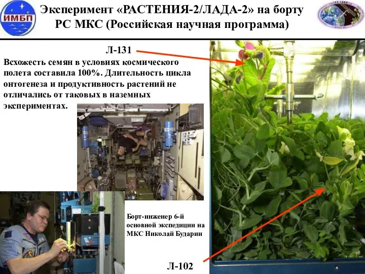 Л-131 Л-102 Эксперимент «РАСТЕНИЯ-2/ЛАДА-2» на борту РС МКС (Российская научная программа) Всхожесть