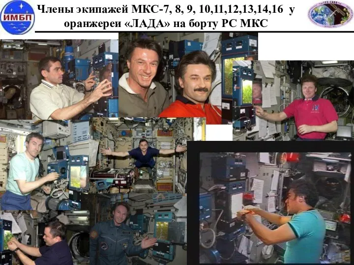 Члены экипажей МКС-7, 8, 9, 10,11,12,13,14,16 у оранжереи «ЛАДА» на борту РС МКС