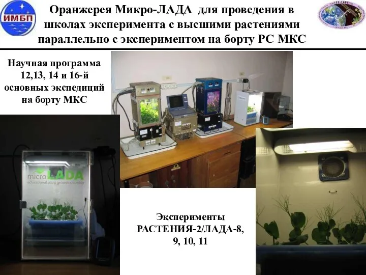 Оранжерея Микро-ЛАДА для проведения в школах эксперимента с высшими растениями параллельно с