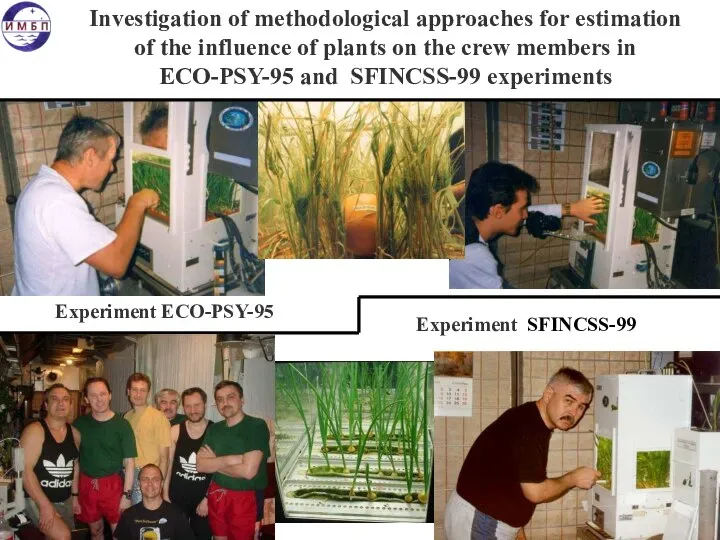 Investigation of methodological approaches for estimation of the influence of plants on