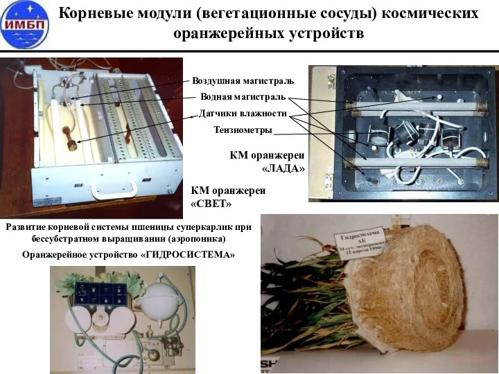 Воздушная магистраль Водная магистраль Датчики влажности Тензиометры Развитие корневой системы пшеницы суперкарлик