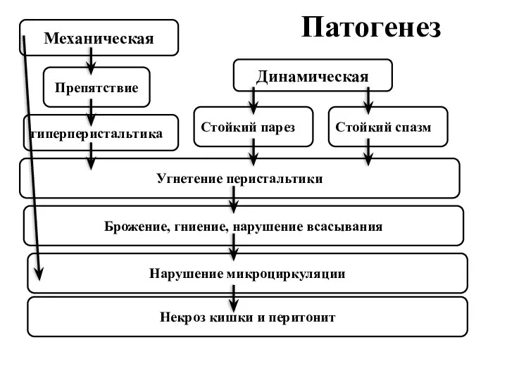 Патогенез Препятствие гиперперистальтика Угнетение перистальтики Механическая Динамическая Стойкий парез Стойкий спазм Брожение,