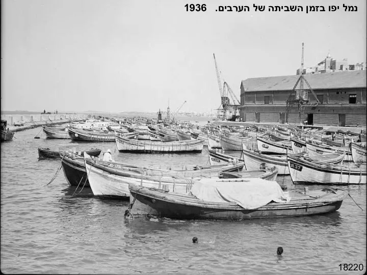 18220 נמל יפו בזמן השביתה של הערבים. 1936