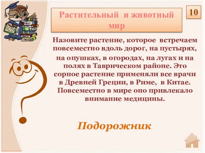 Подорожник Назовите растение, которое встречаем повсеместно вдоль дорог, на пустырях, на опушках,