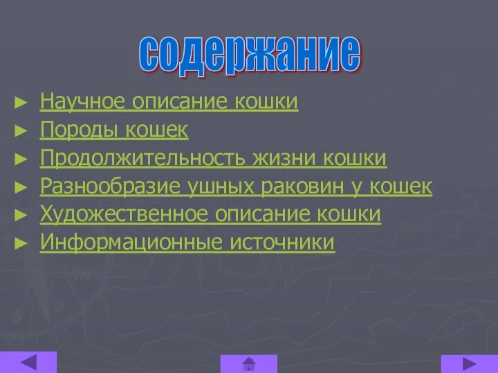 Научное описание кошки Породы кошек Продолжительность жизни кошки Разнообразие ушных раковин у