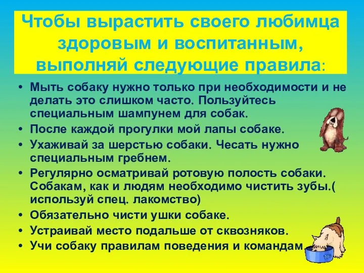 Чтобы вырастить своего любимца здоровым и воспитанным, выполняй следующие правила: Мыть собаку