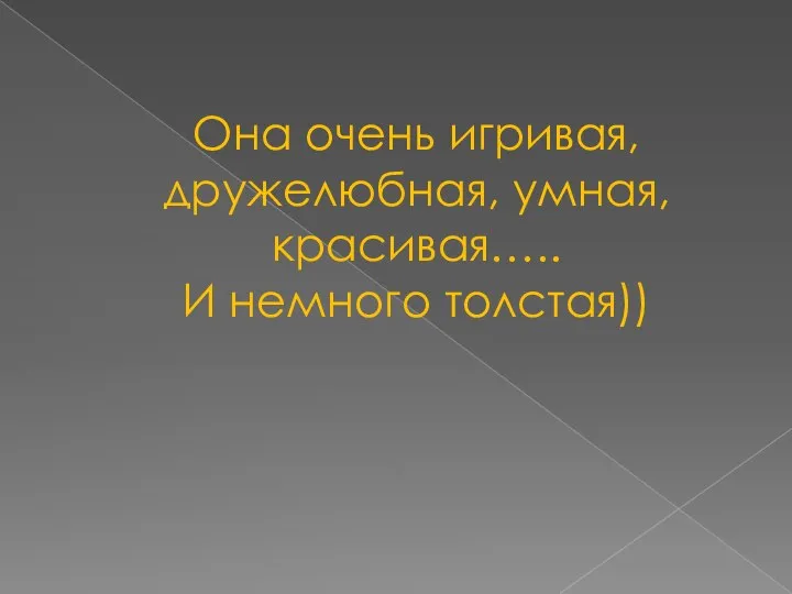 Она очень игривая, дружелюбная, умная, красивая….. И немного толстая))