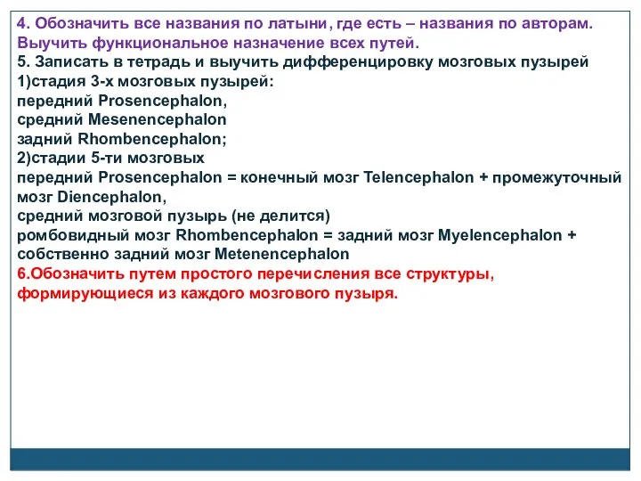 4. Обозначить все названия по латыни, где есть – названия по авторам.