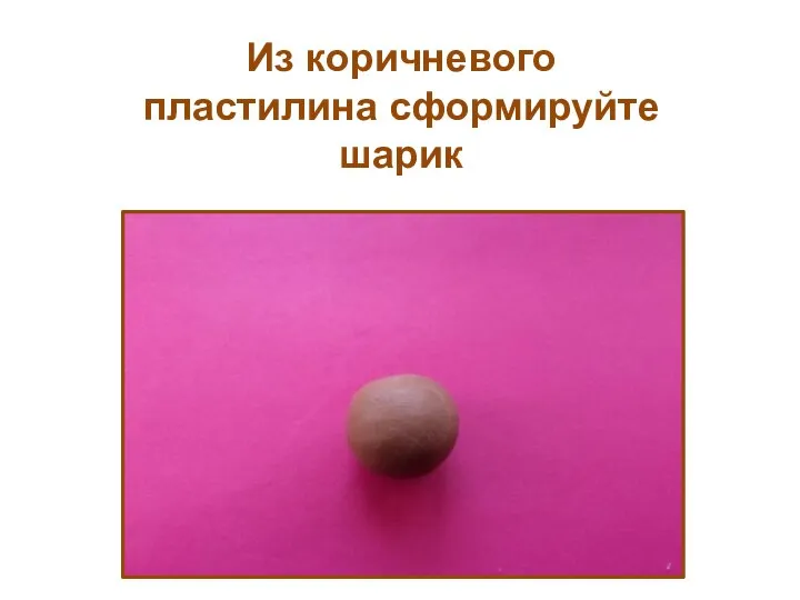 Из коричневого пластилина сформируйте шарик