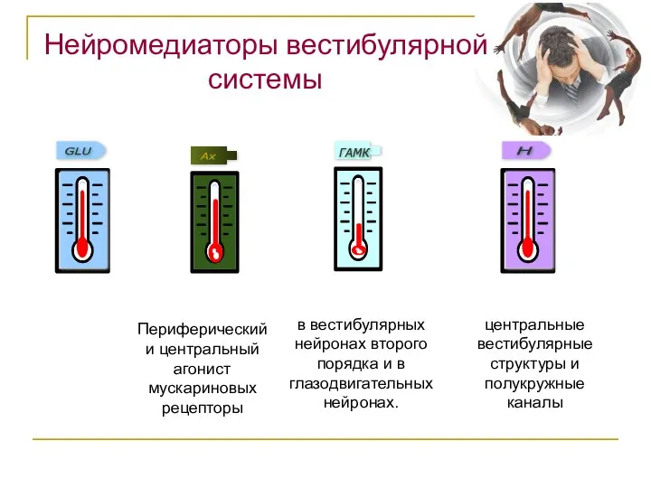 ГАМК Нейромедиаторы вестибулярной системы в вестибулярных нейронах второго порядка и в глазодвигательных