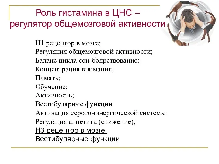 Н1 рецептор в мозге: Регуляция общемозговой активности; Баланс цикла сон-бодрствование; Концентрация внимания;