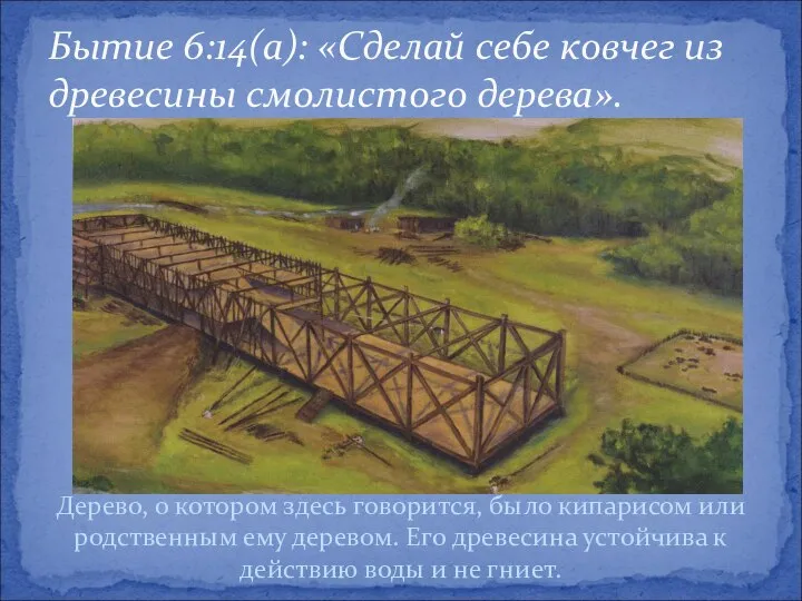 Бытие 6:14(а): «Сделай себе ковчег из древесины смолистого дерева». Дерево, о котором