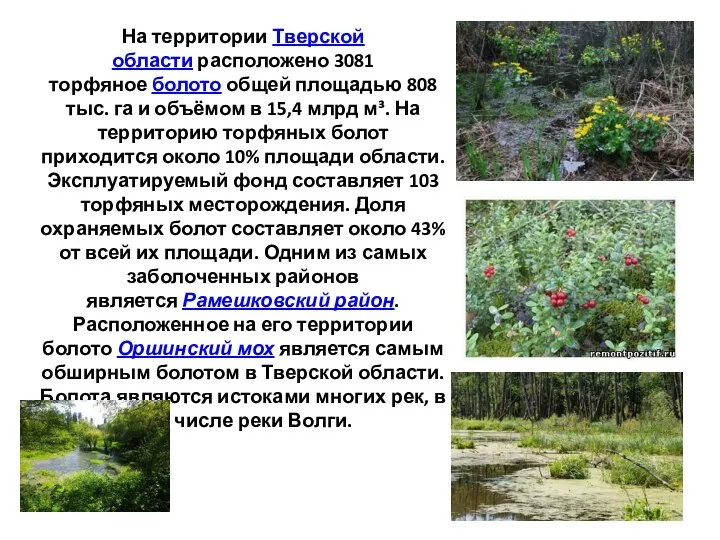 На территории Тверской области расположено 3081 торфяное болото общей площадью 808 тыс.
