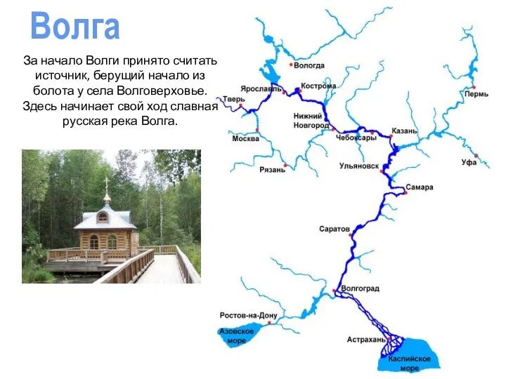 Волга За начало Волги принято считать источник, берущий начало из болота у