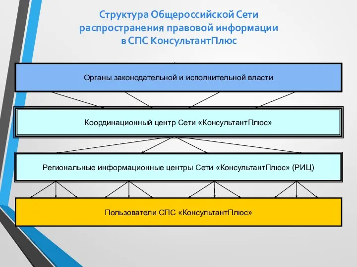 Структура Общероссийской Сети распространения правовой информации в СПС КонсультантПлюс Органы законодательной и