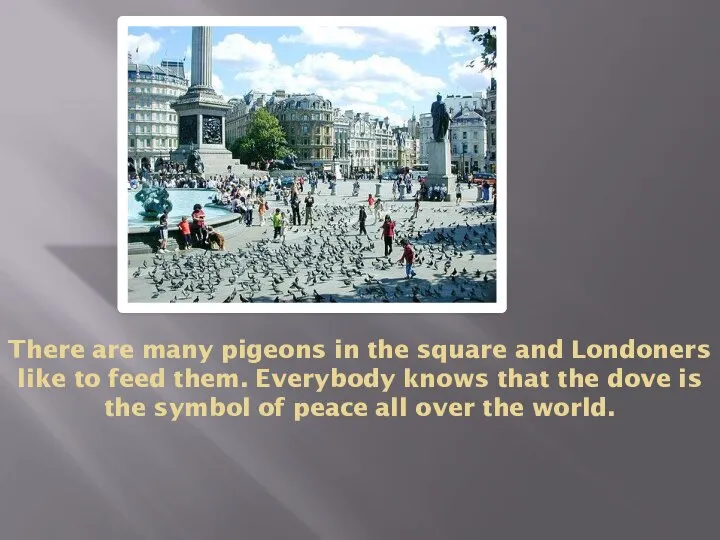 There are many pigeons in the square and Londoners like to feed