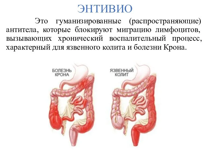 ЭНТИВИО Это гуманизированные (распространяющие) антитела, которые блокируют миграцию лимфоцитов, вызывающих хронический воспалительный