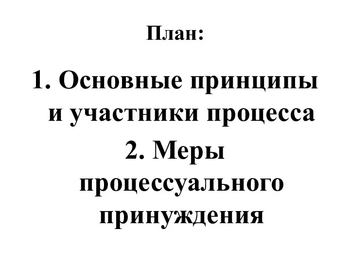 План: 1. Основные принципы и участники процесса 2. Меры процессуального принуждения