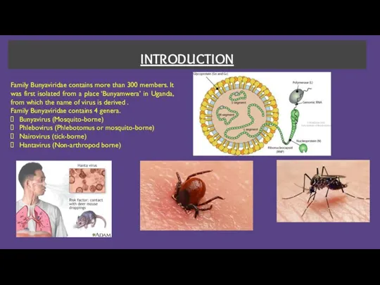 INTRODUCTION Family Bunyaviridae contains more than 300 members. It was first isolated