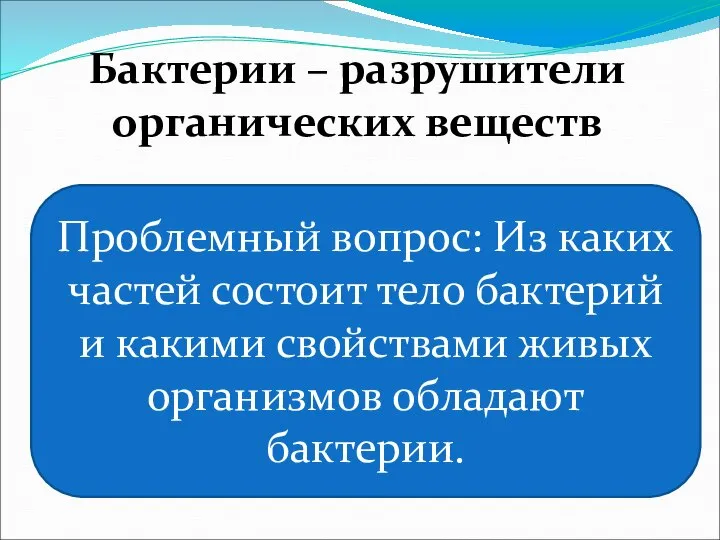 Бактерии – разрушители органических веществ Проблемный вопрос: Из каких частей состоит тело