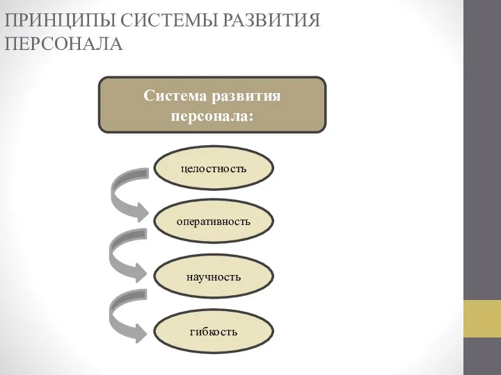 ПРИНЦИПЫ СИСТЕМЫ РАЗВИТИЯ ПЕРСОНАЛА Система развития персонала: целостность оперативность научность гибкость