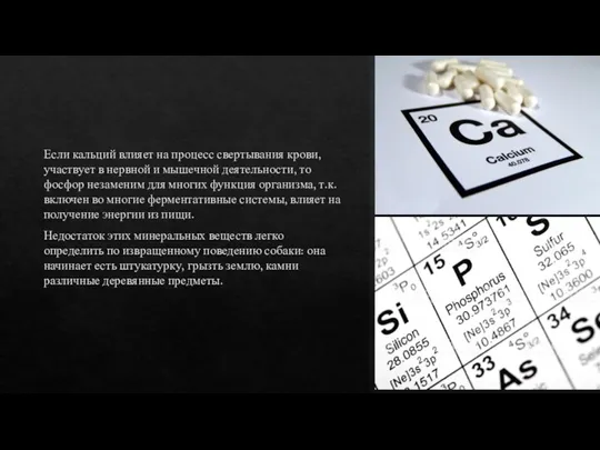 Если кальций влияет на процесс свертывания крови, участвует в нервной и мышечной