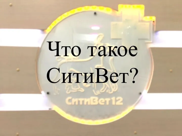 Что такое СитиВет?