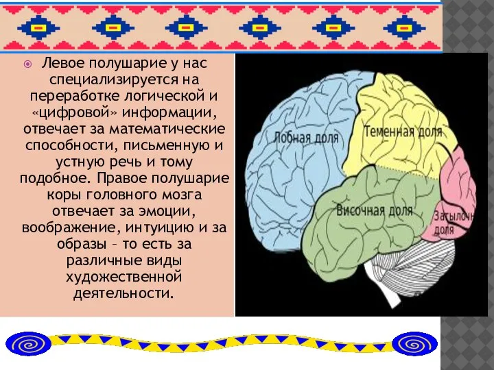 Левое полушарие у нас специализируется на переработке логической и «цифровой» информации, отвечает