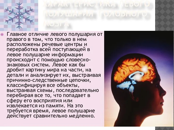 ХАРАКТЕРИСТИКА ЛЕВОГО ПОЛУШАРИЯ ГОЛОВНОГО МОЗГА Главное отличие левого полушария от правого в