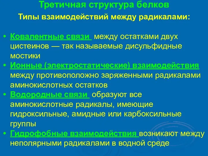 Третичная структура белков Типы взаимодействий между радикалами: Ковалентные связи между остатками двух