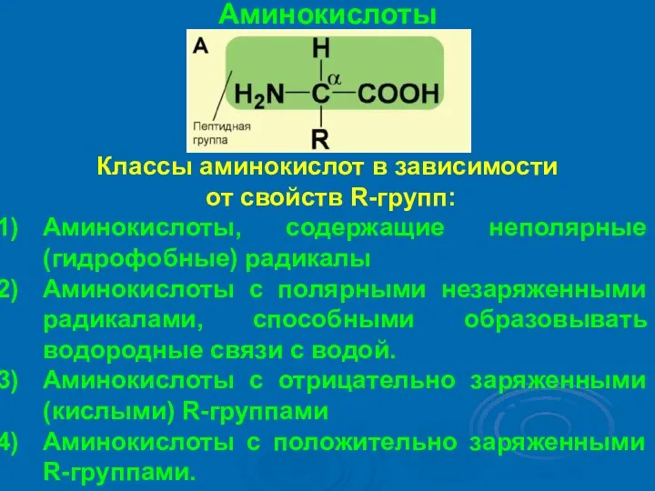 Аминокислоты Классы аминокислот в зависимости от свойств R-групп: Аминокислоты, содержащие неполярные (гидрофобные)