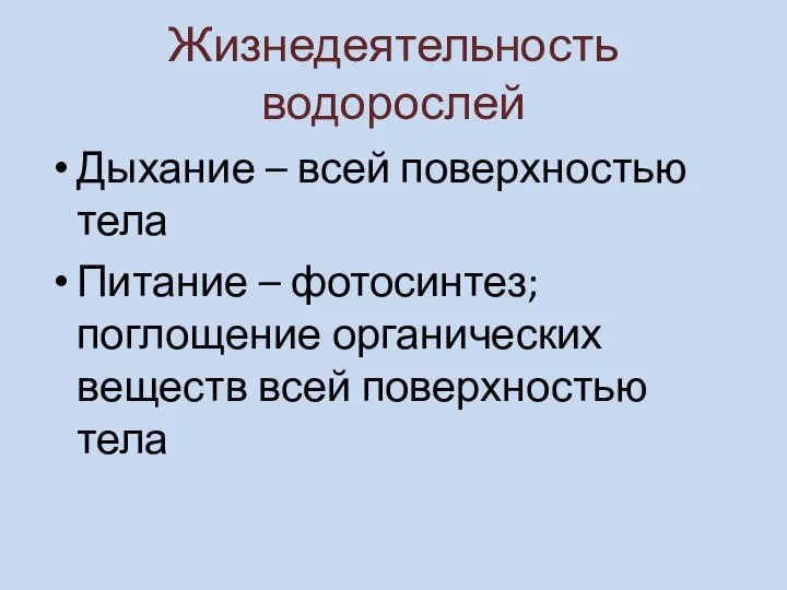 Жизнедеятельность водорослей Дыхание – всей поверхностью тела Питание – фотосинтез; поглощение органических веществ всей поверхностью тела