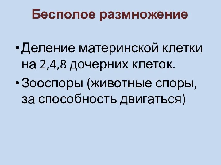 Бесполое размножение Деление материнской клетки на 2,4,8 дочерних клеток. Зооспоры (животные споры, за способность двигаться)